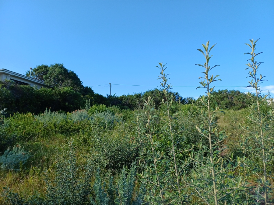 0 Bedroom Property for Sale in Kingfisher Creek Western Cape